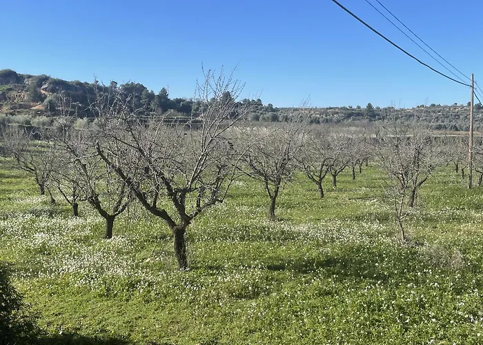 Lägenhet Lo Regolfo *